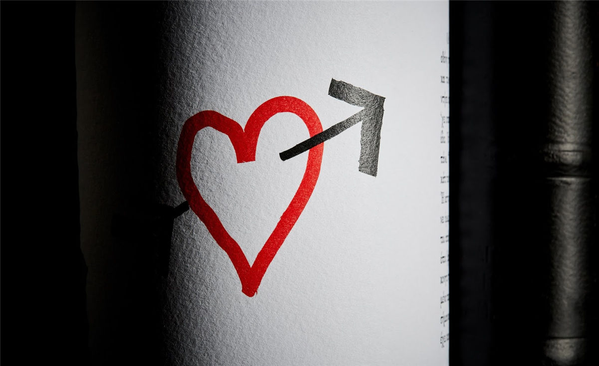 寧夏紅酒包裝設(shè)計(jì)公司推薦參考案例(圖14) 寧夏紅酒包裝設(shè)計(jì)公司推薦參考案例(圖14)