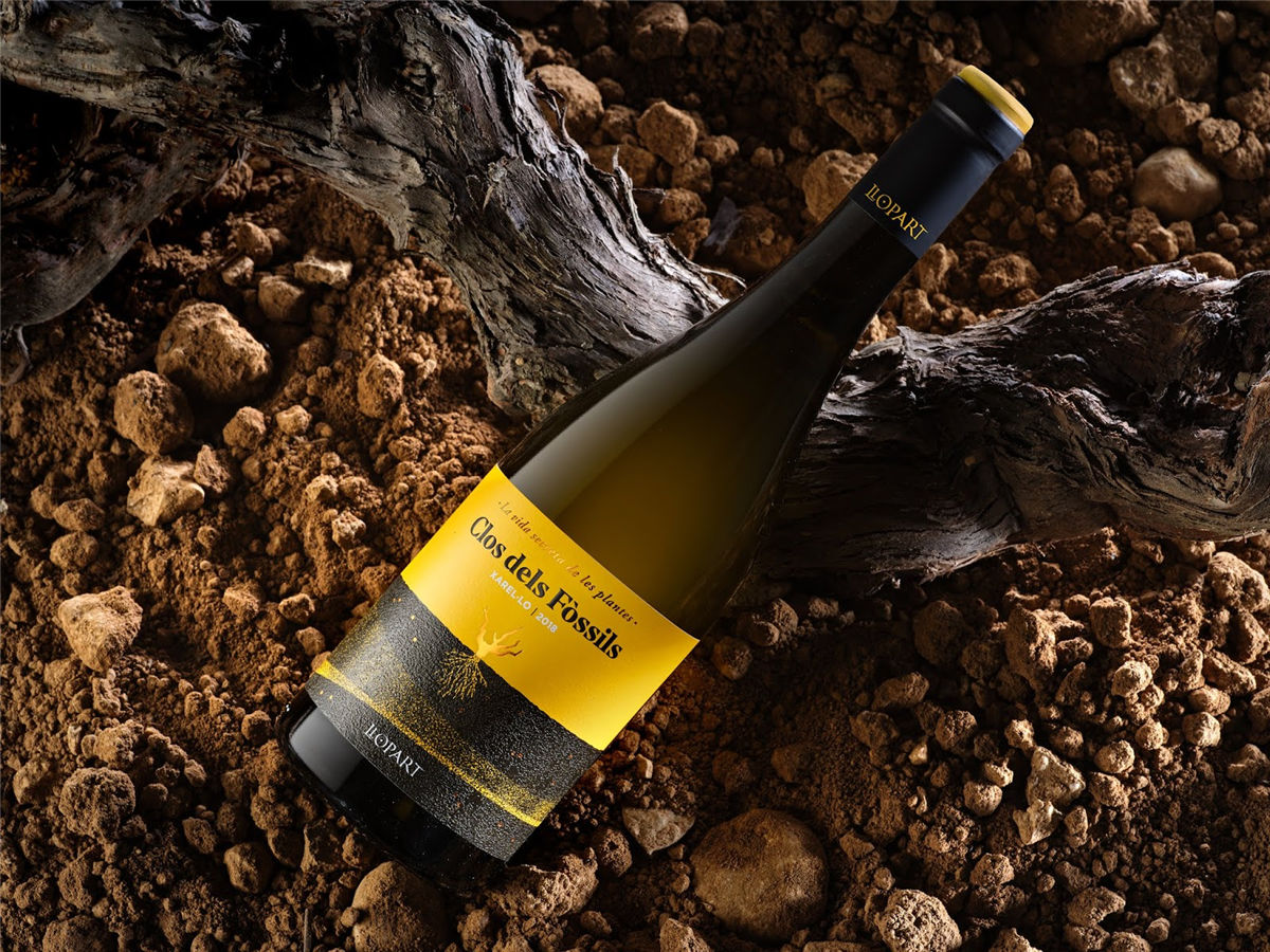 寧夏紅酒包裝設(shè)計(jì)公司推薦參考案例(圖26) 寧夏紅酒包裝設(shè)計(jì)公司推薦參考案例(圖26)