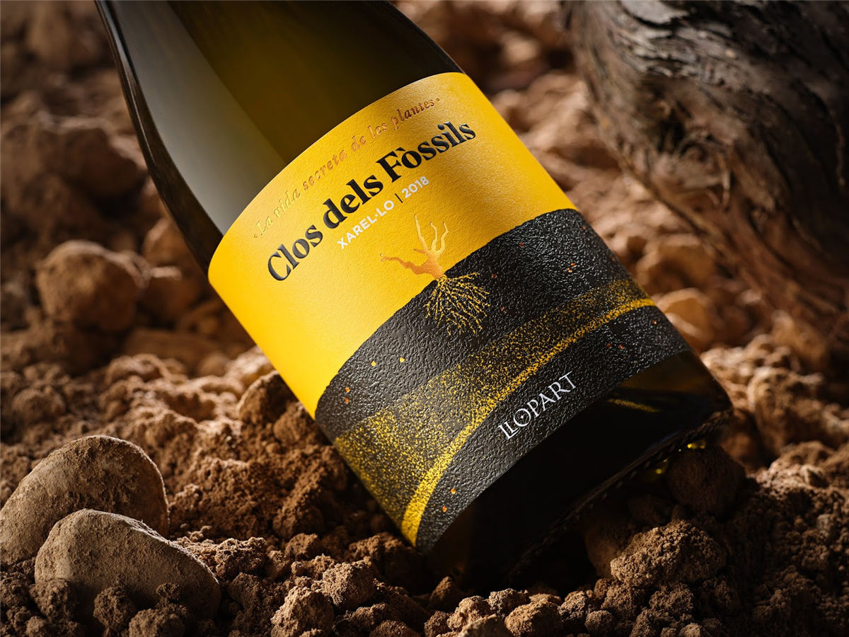 寧夏紅酒包裝設(shè)計(jì)公司推薦參考案例(圖24) 寧夏紅酒包裝設(shè)計(jì)公司推薦參考案例(圖24)