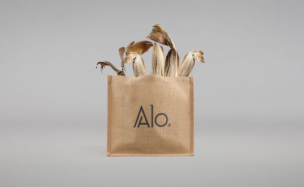 魷魚(yú)干包裝設(shè)計(jì)(圖3)