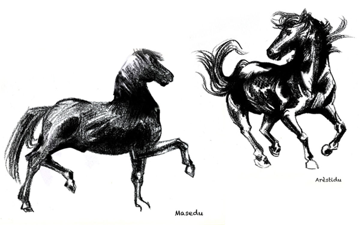 葡萄酒包裝設(shè)計(jì)(圖5) 葡萄酒包裝設(shè)計(jì)(圖5)