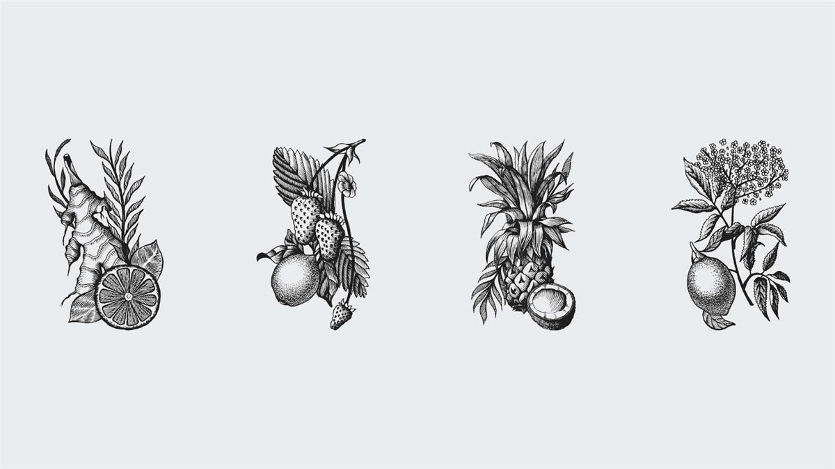 冷煮咖啡飲料包裝設(shè)計(jì)(圖1) 冷煮咖啡飲料包裝設(shè)計(jì)(圖1)