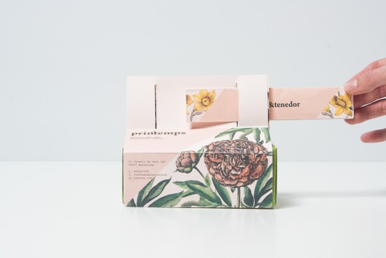 外賣包裝盒設(shè)計(jì)欣賞(圖2)