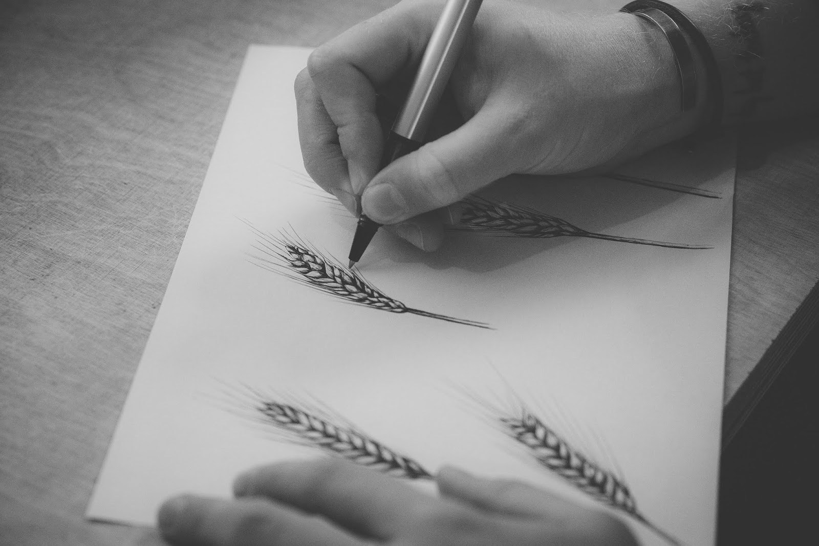 年輕化白酒包裝設(shè)計(圖6)