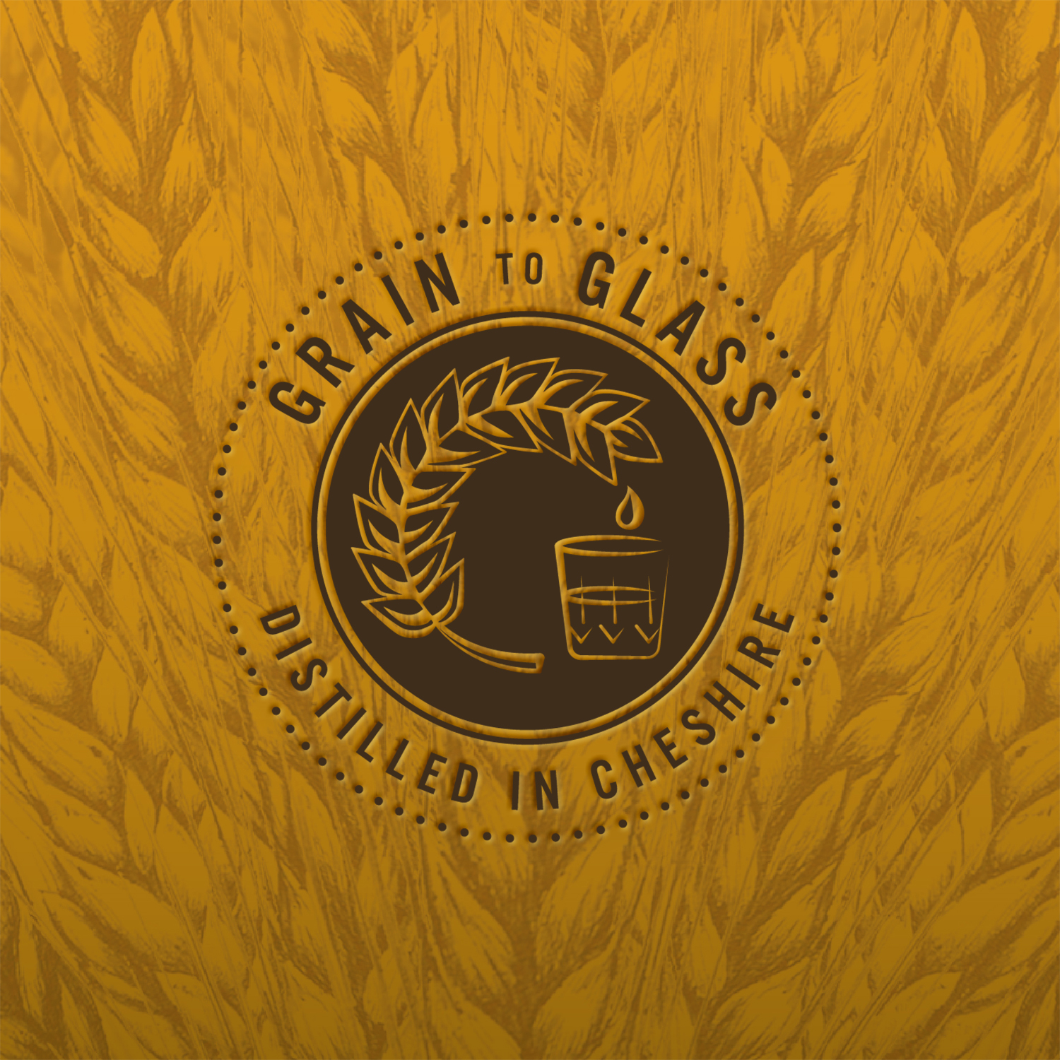 年輕化白酒包裝設(shè)計(圖9)