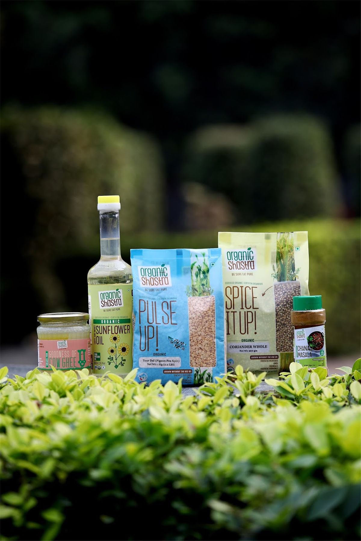 食品品牌系列包裝設(shè)計(jì)(圖2) 食品品牌系列包裝設(shè)計(jì)(圖2)