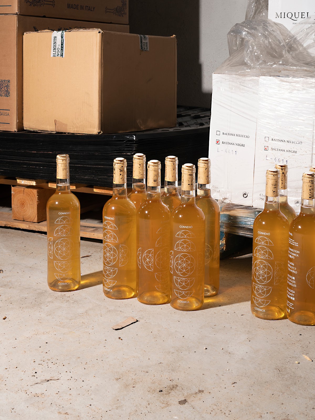 深圳葡萄酒包裝設(shè)計(jì)欣賞(圖2) 深圳葡萄酒包裝設(shè)計(jì)欣賞(圖2)