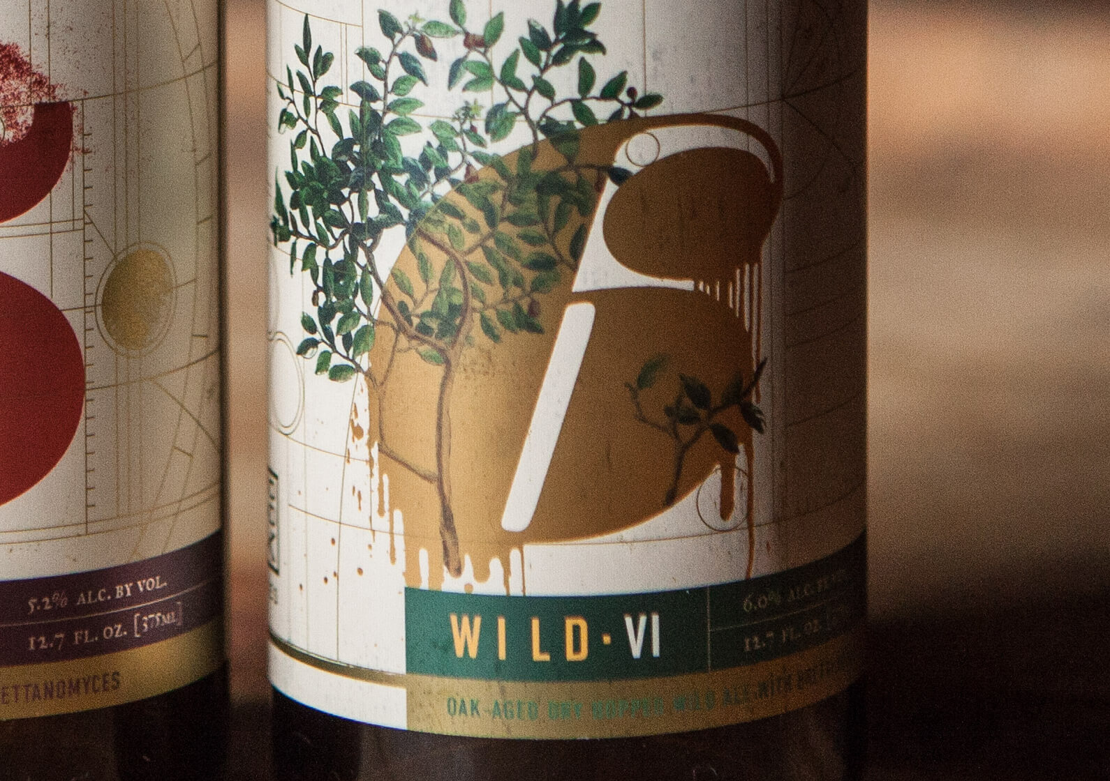 成都啤酒產(chǎn)品創(chuàng)意包裝設(shè)計欣賞(圖3)