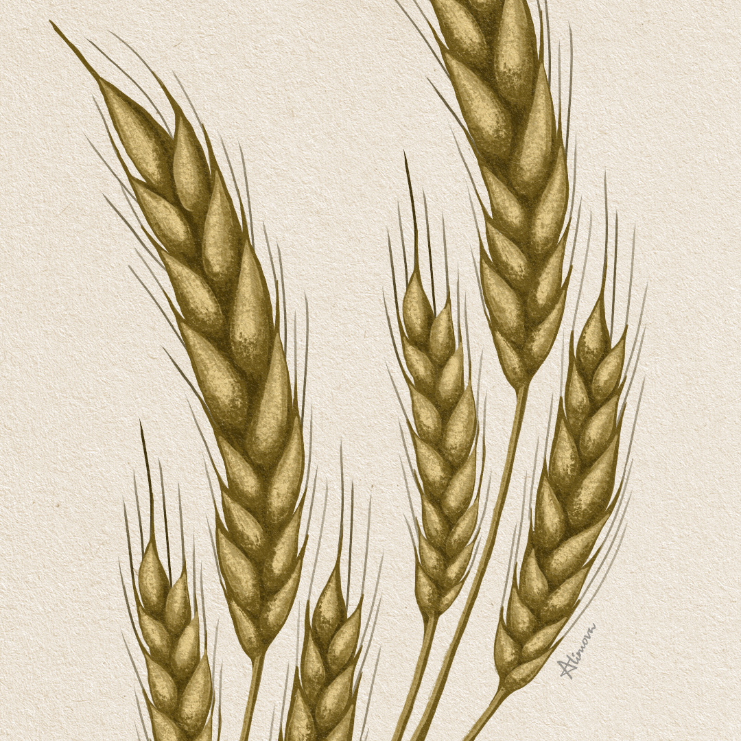 常州酒包裝設(shè)計(jì)(圖2)