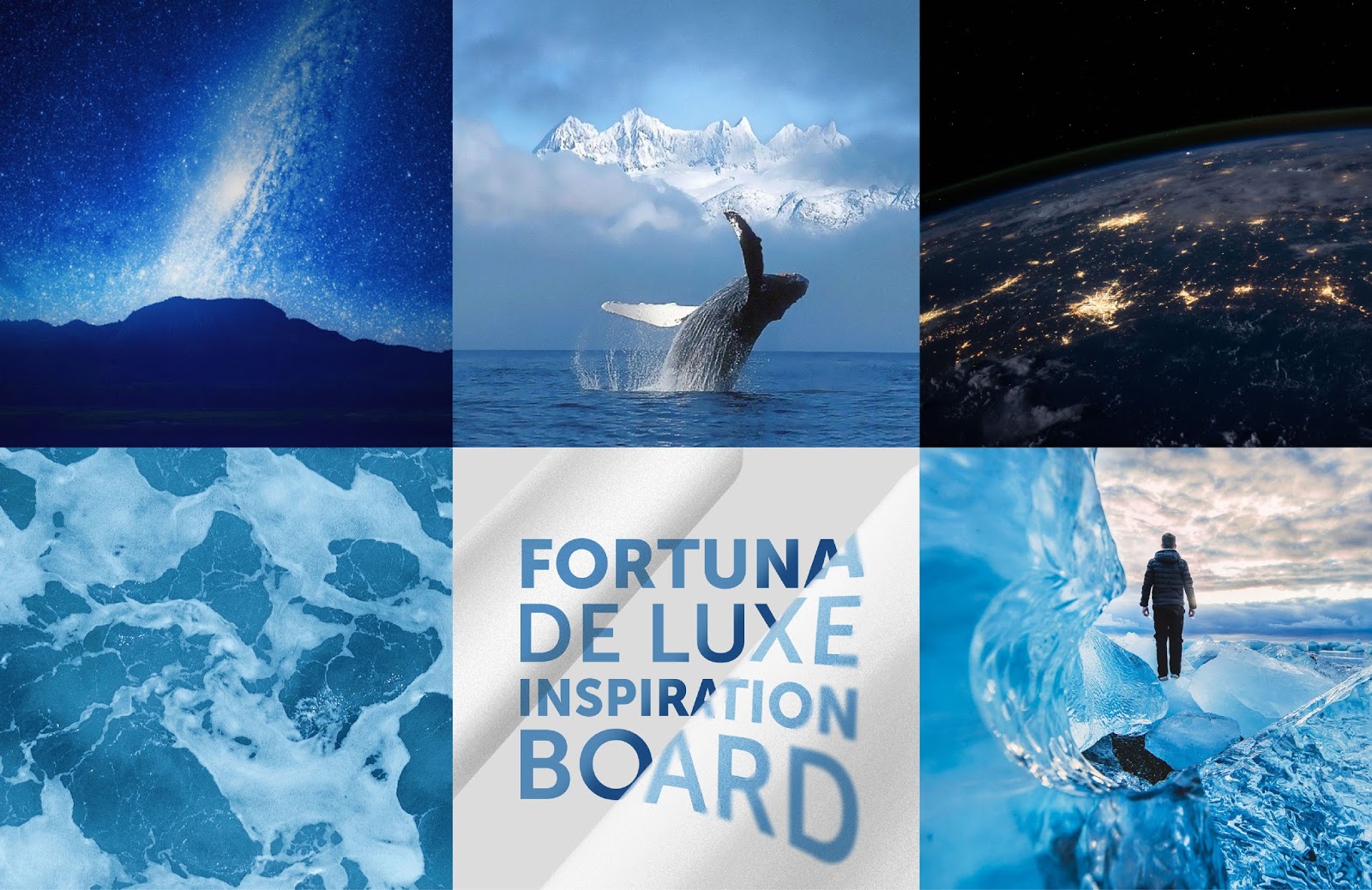 太原酒包裝設計(圖5) 太原酒包裝設計(圖5)