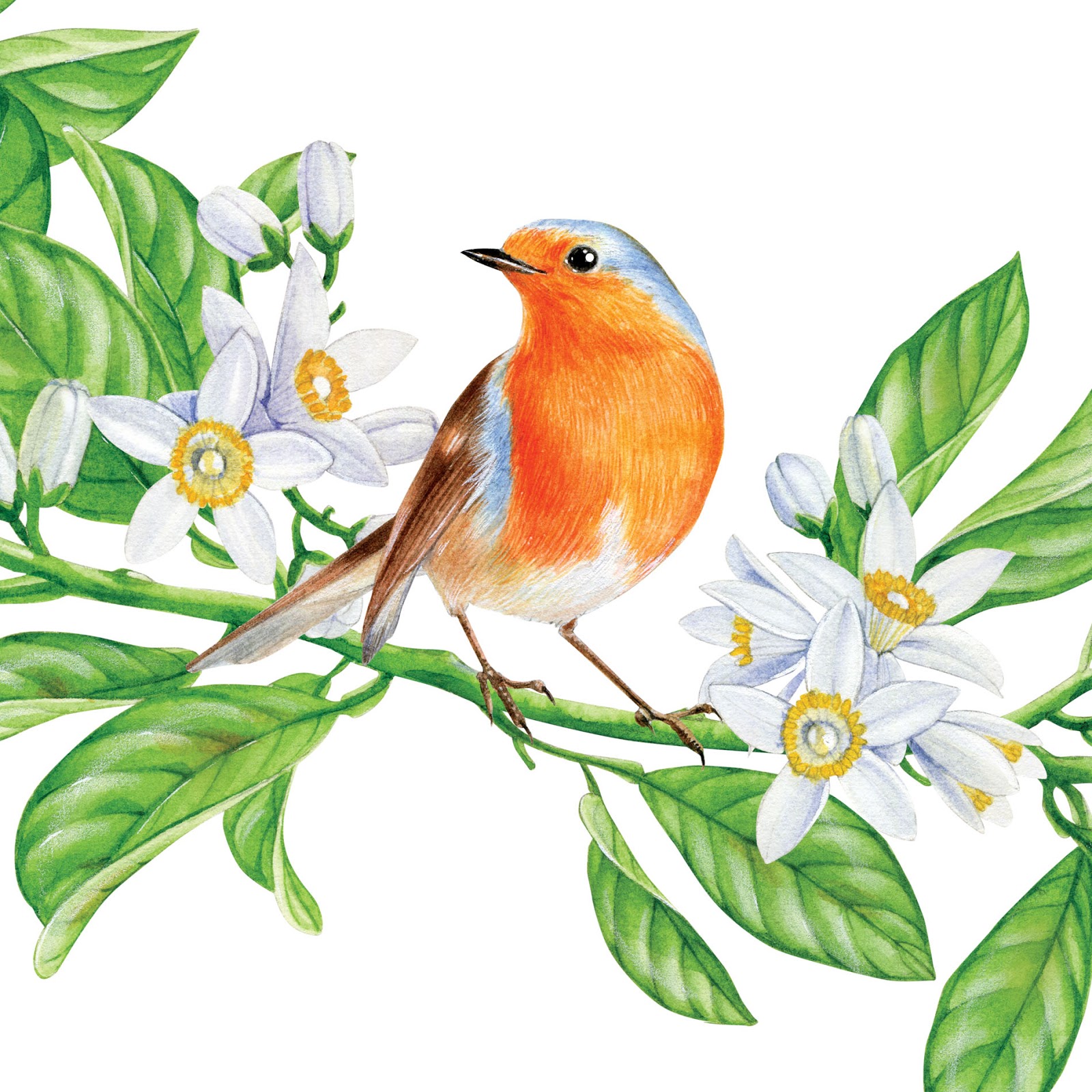 貴陽果汁飲料包裝設(shè)計(jì)公司(圖3) 貴陽果汁飲料包裝設(shè)計(jì)公司(圖3)