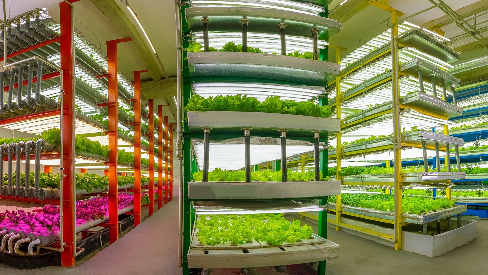 生鮮蔬菜品牌包裝設(shè)計(jì)(圖5) 生鮮蔬菜品牌包裝設(shè)計(jì)(圖5)