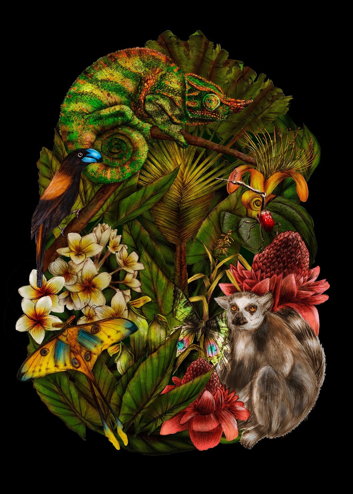 東營酒包裝設(shè)計這款看著很原始叢林(圖10)