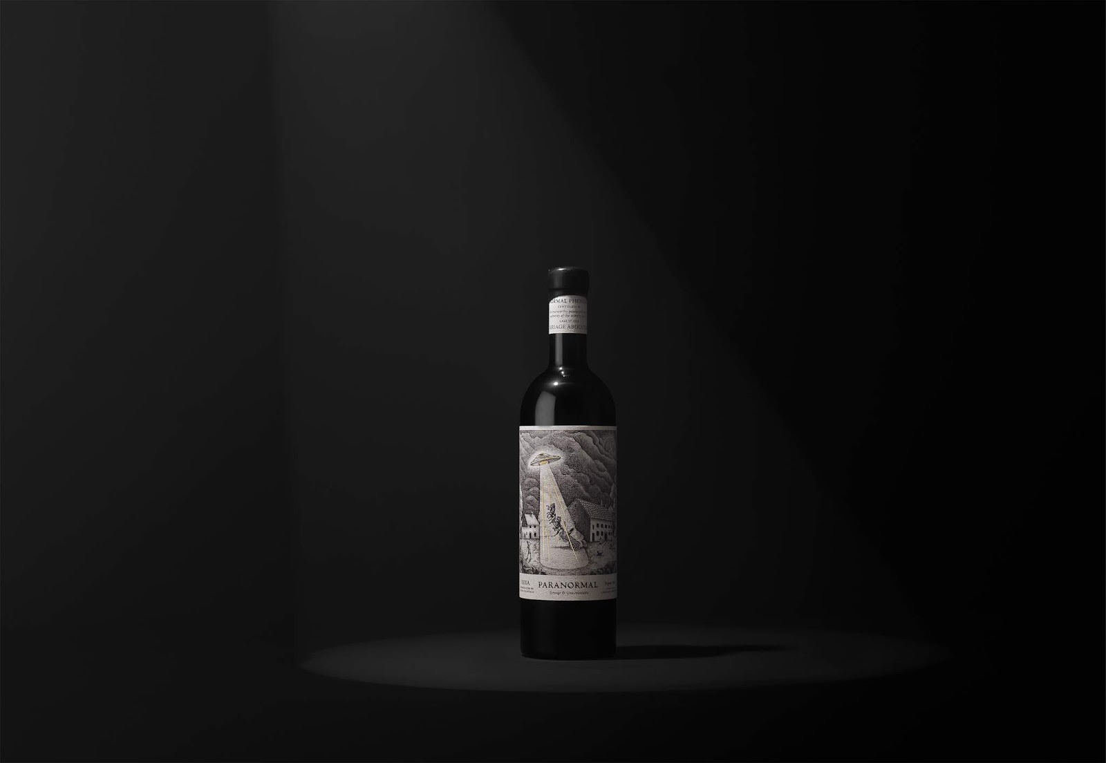 包頭外星人都喜歡的紅酒包裝設(shè)計(圖7)