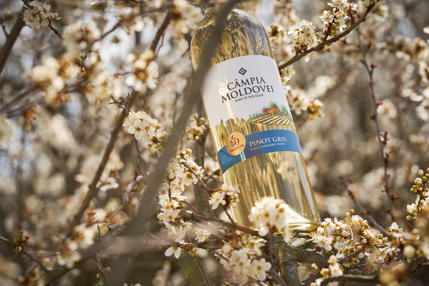 蘭州酒包裝設(shè)計公司(圖2) 蘭州酒包裝設(shè)計公司(圖2)