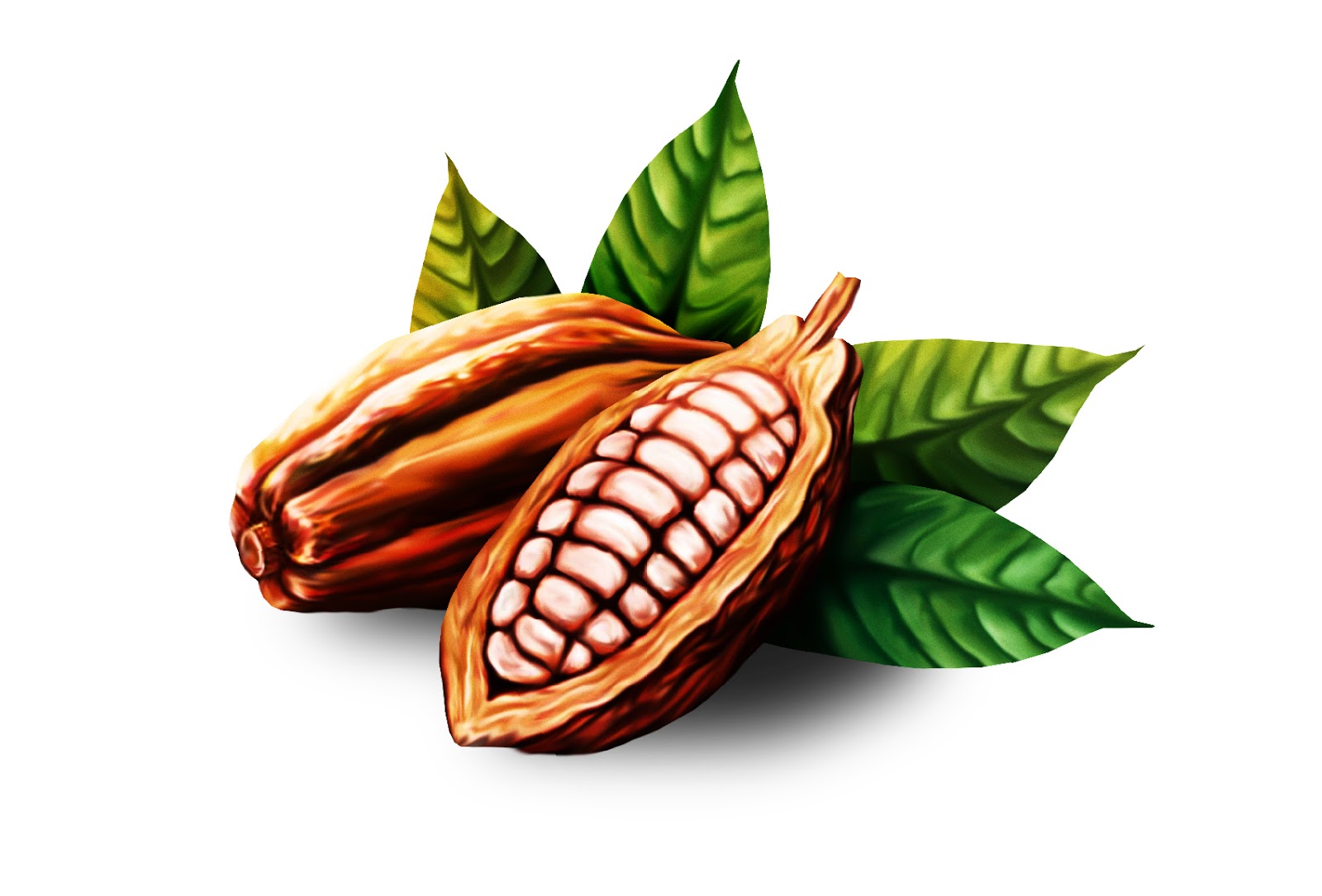 無糖食品包裝設(shè)計(jì)(圖2)