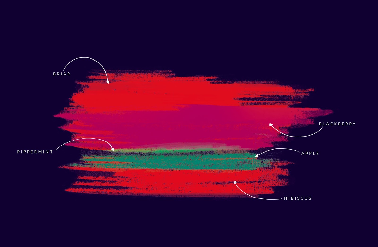 香草茶包裝設(shè)計(jì)(圖5) 香草茶包裝設(shè)計(jì)(圖5)