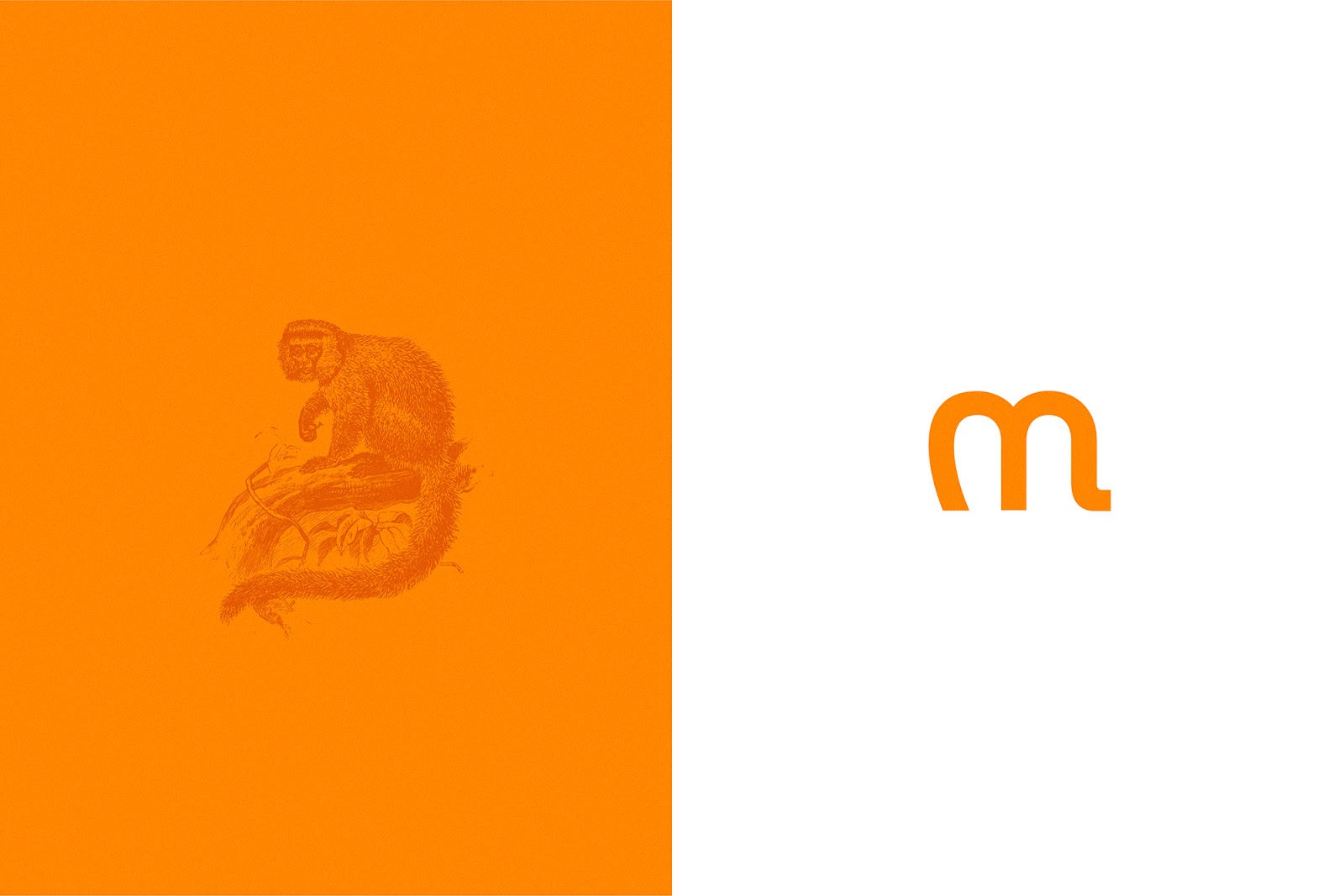 咖啡罐包裝設(shè)計(jì)(圖3)