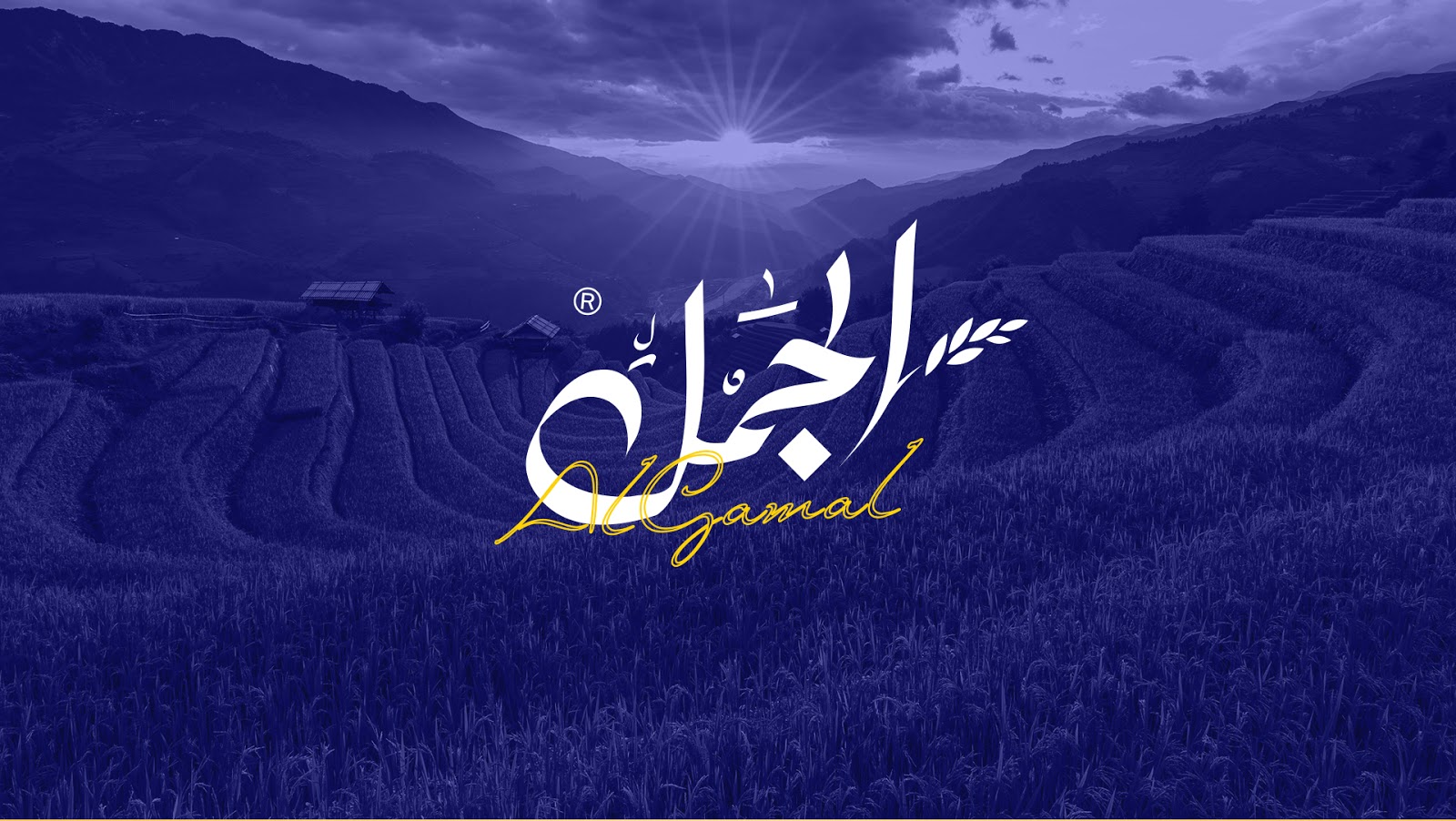 國外大米包裝設計欣賞(圖2)