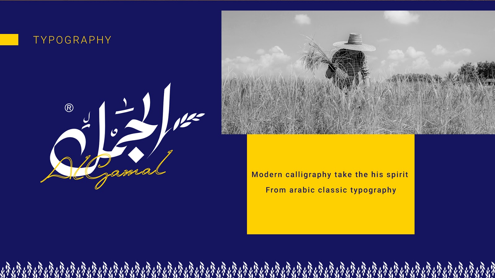 國外大米包裝設計欣賞(圖6)