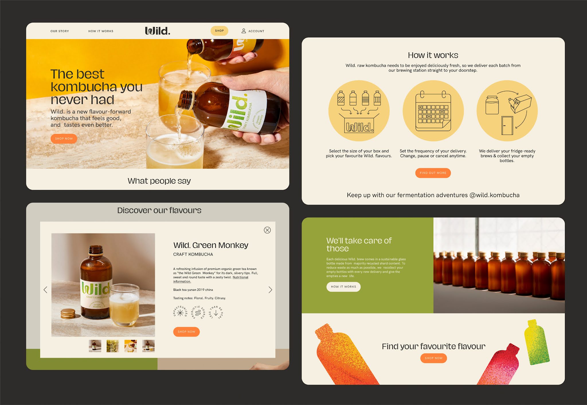 荒野康普茶包裝設計(圖13)