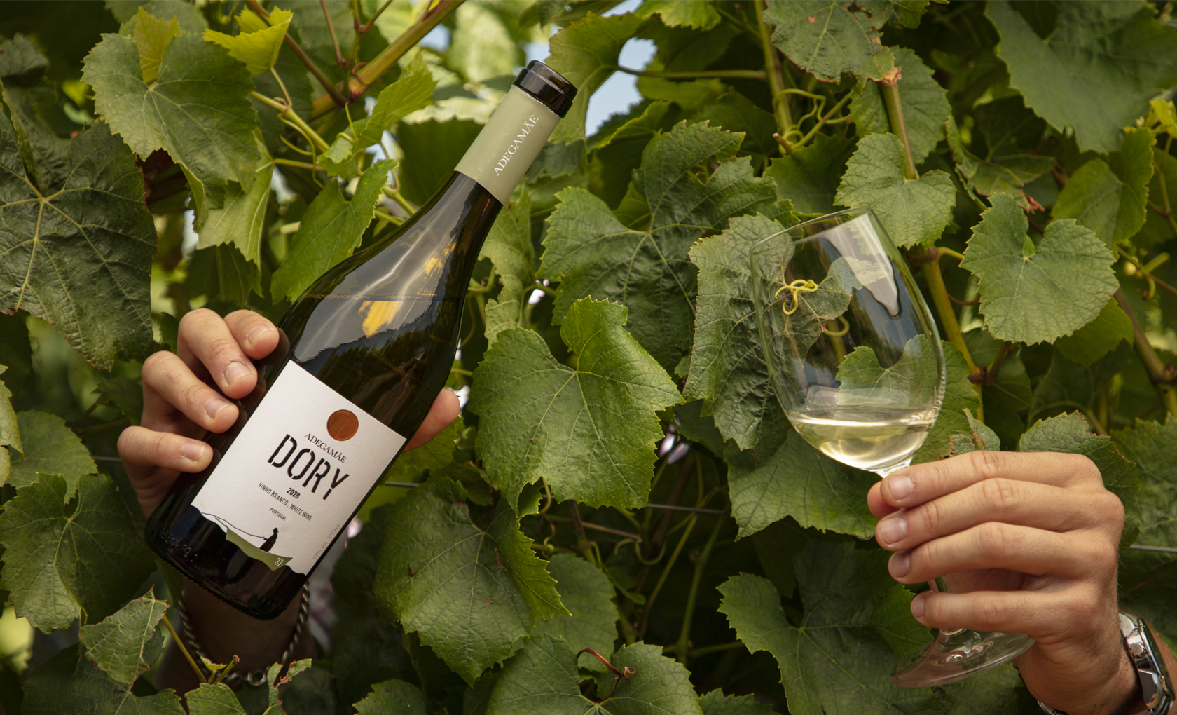 葡萄酒包裝也需要講故事(圖5) 葡萄酒包裝也需要講故事(圖5)