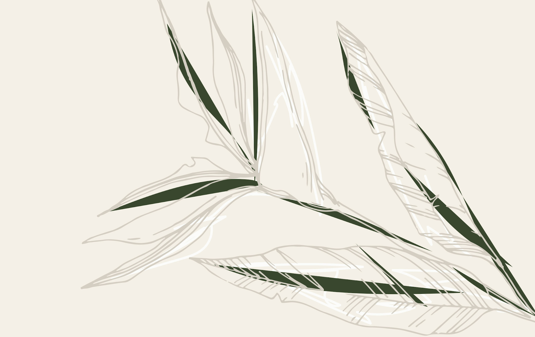 無殘留洗發(fā)水包裝設(shè)計(jì)(圖21) 無殘留洗發(fā)水包裝設(shè)計(jì)(圖21)