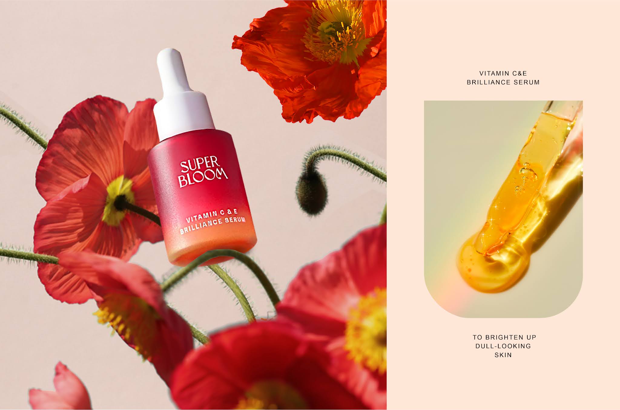 超級(jí)綻放化妝品包裝設(shè)計(jì)(圖14) 超級(jí)綻放化妝品包裝設(shè)計(jì)(圖14)