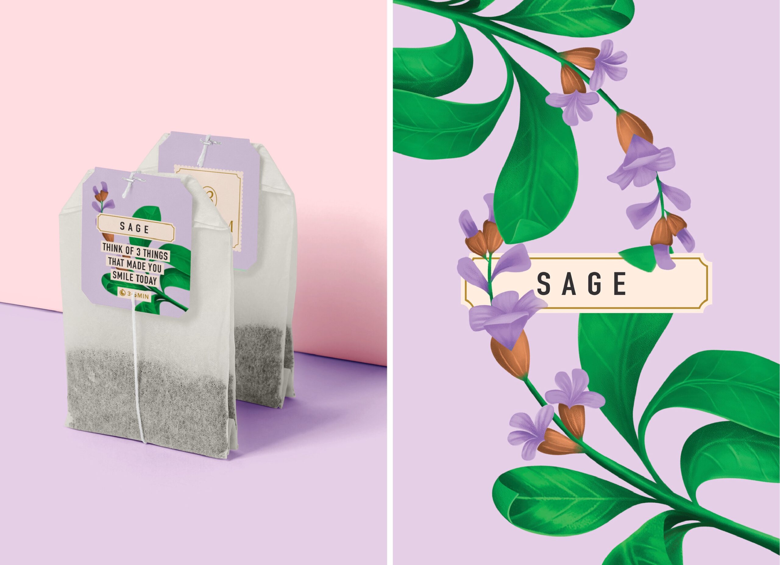繪畫風(fēng)格的草本茶包裝設(shè)計這樣做(圖7)