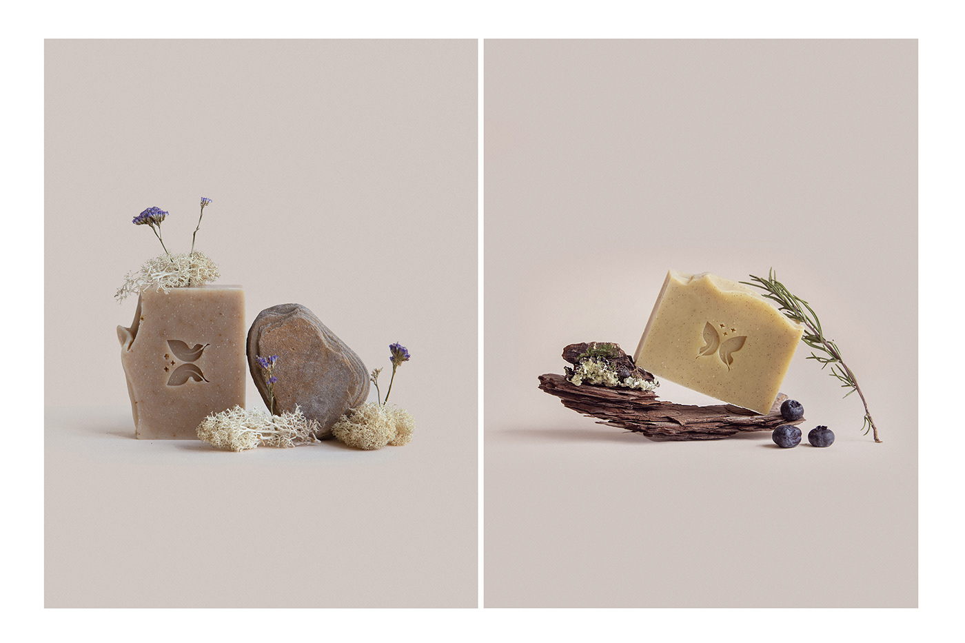 能讓人想起傳統(tǒng)的植物學(xué)書(shū)籍的護(hù)膚品包裝設(shè)計(jì)(圖10) 能讓人想起傳統(tǒng)的植物學(xué)書(shū)籍的護(hù)膚品包裝設(shè)計(jì)(圖10)