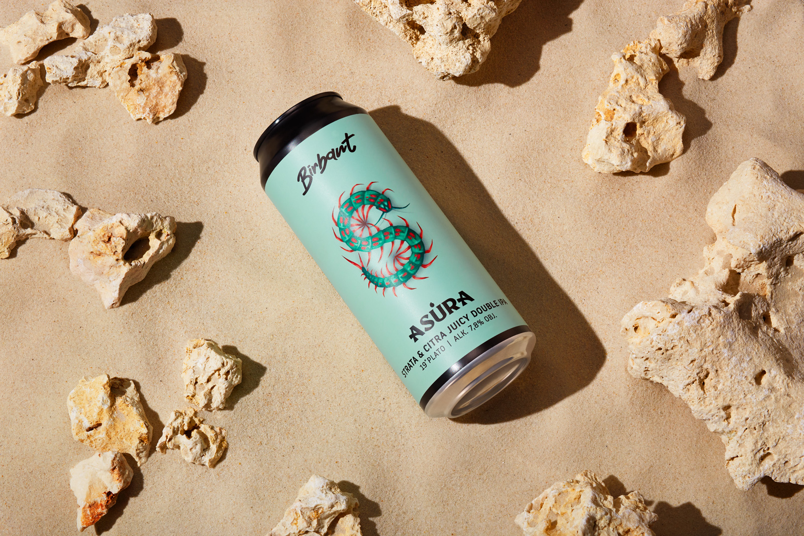 國外啤酒創(chuàng)意包裝設(shè)計參考(圖16)