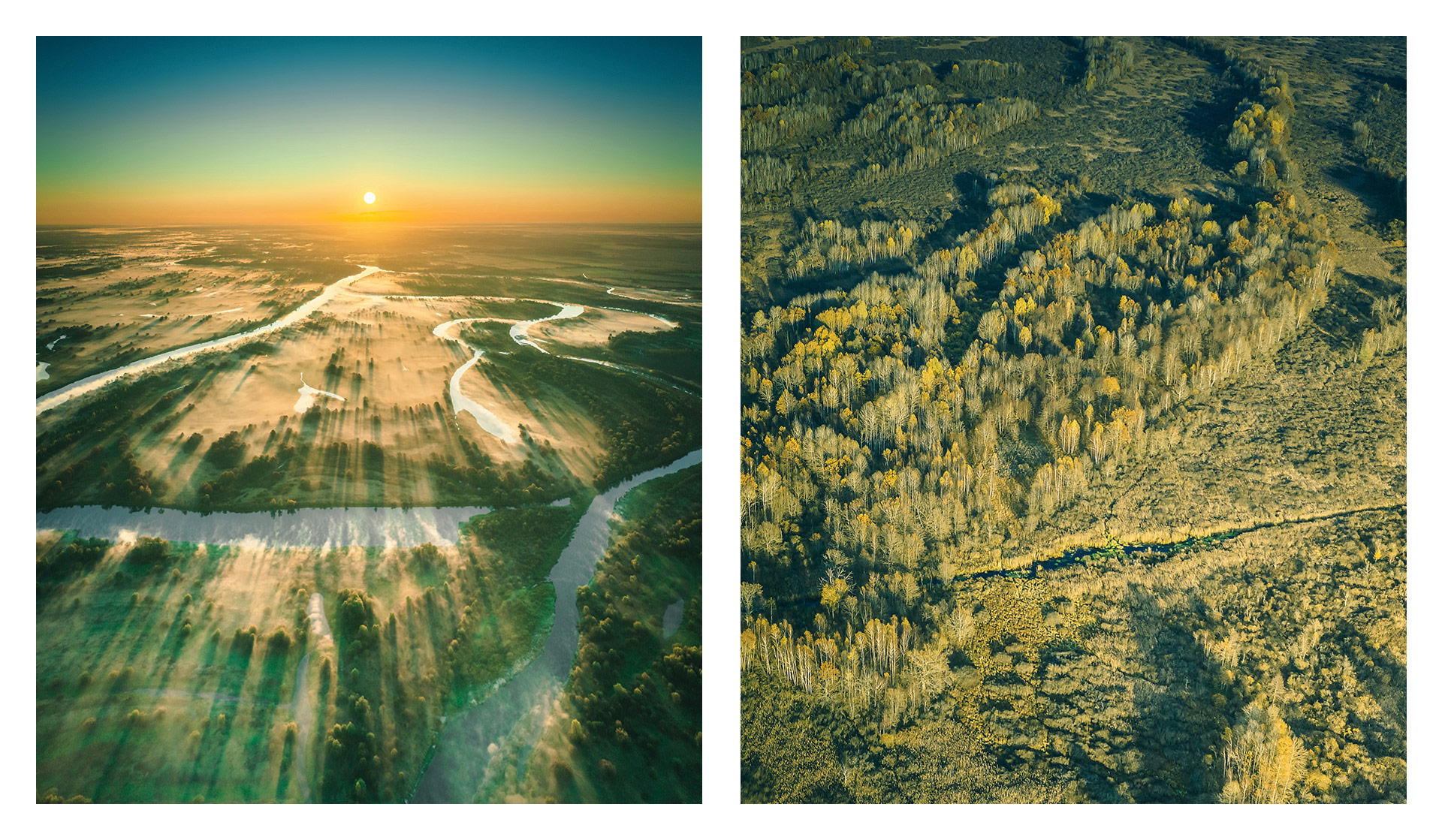 Frangula蜂蜜包裝設(shè)計(jì)(圖3)