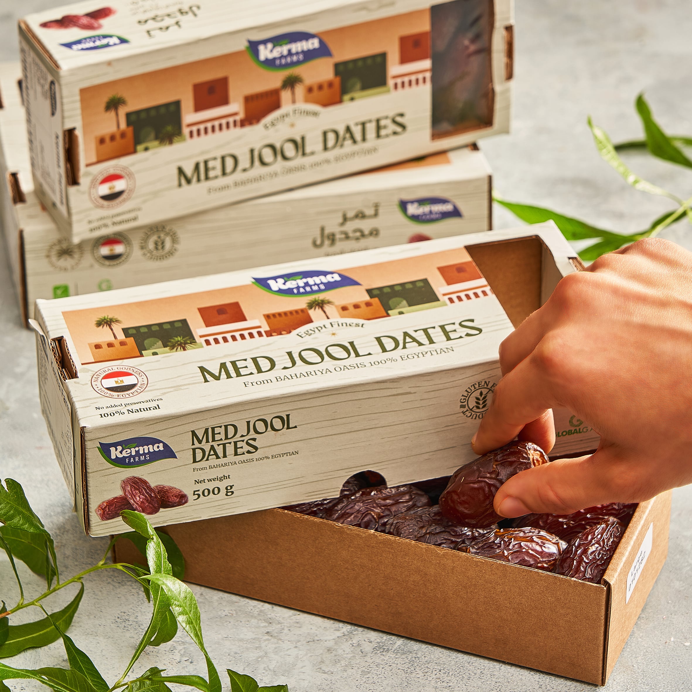 MEDJOOL DATES椰棗食品包裝設(shè)計(jì)(圖4) MEDJOOL DATES椰棗食品包裝設(shè)計(jì)(圖4)