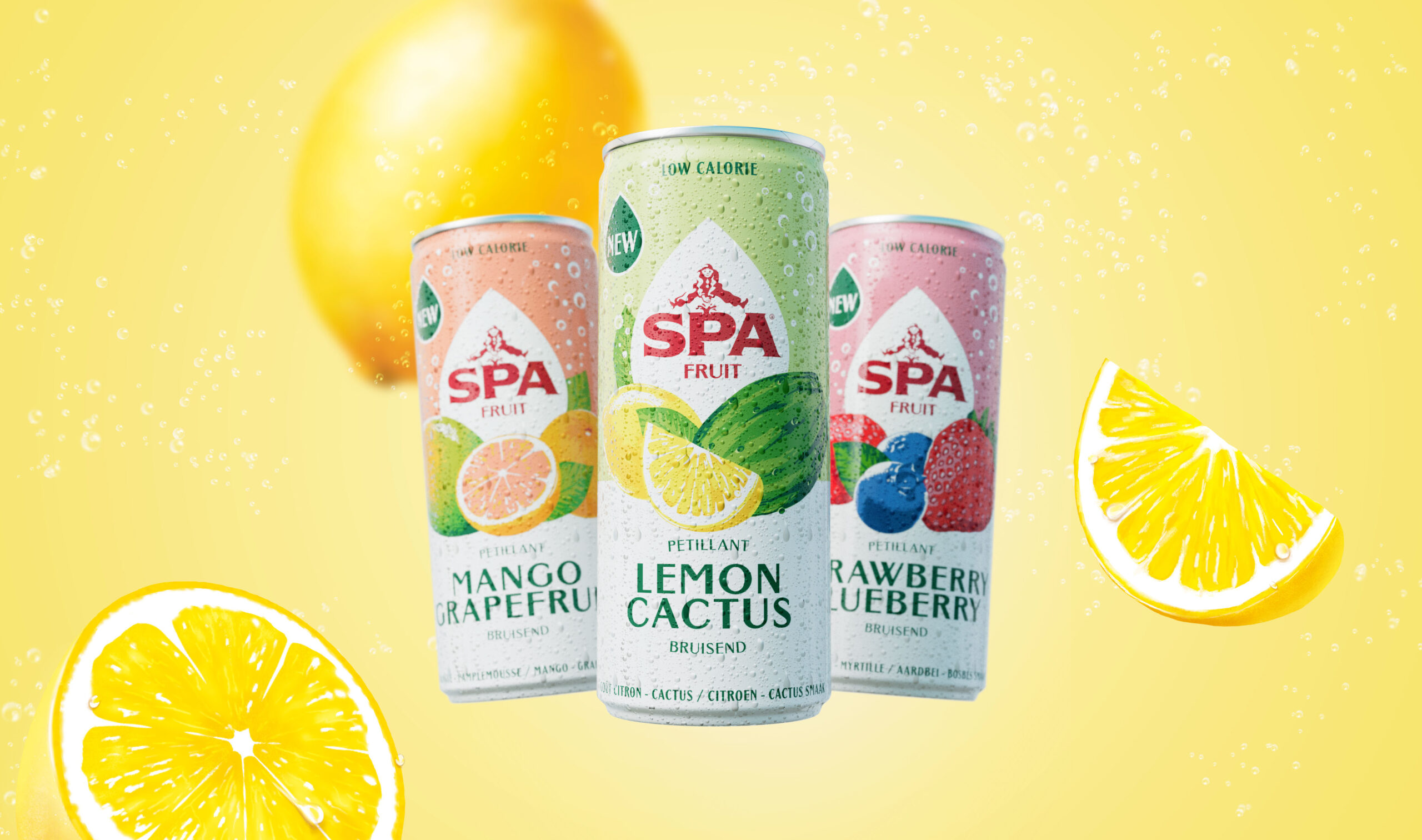 SPA純凈水品牌視覺(jué)包裝設(shè)計(jì)參考(圖10) SPA純凈水品牌視覺(jué)包裝設(shè)計(jì)參考(圖10)