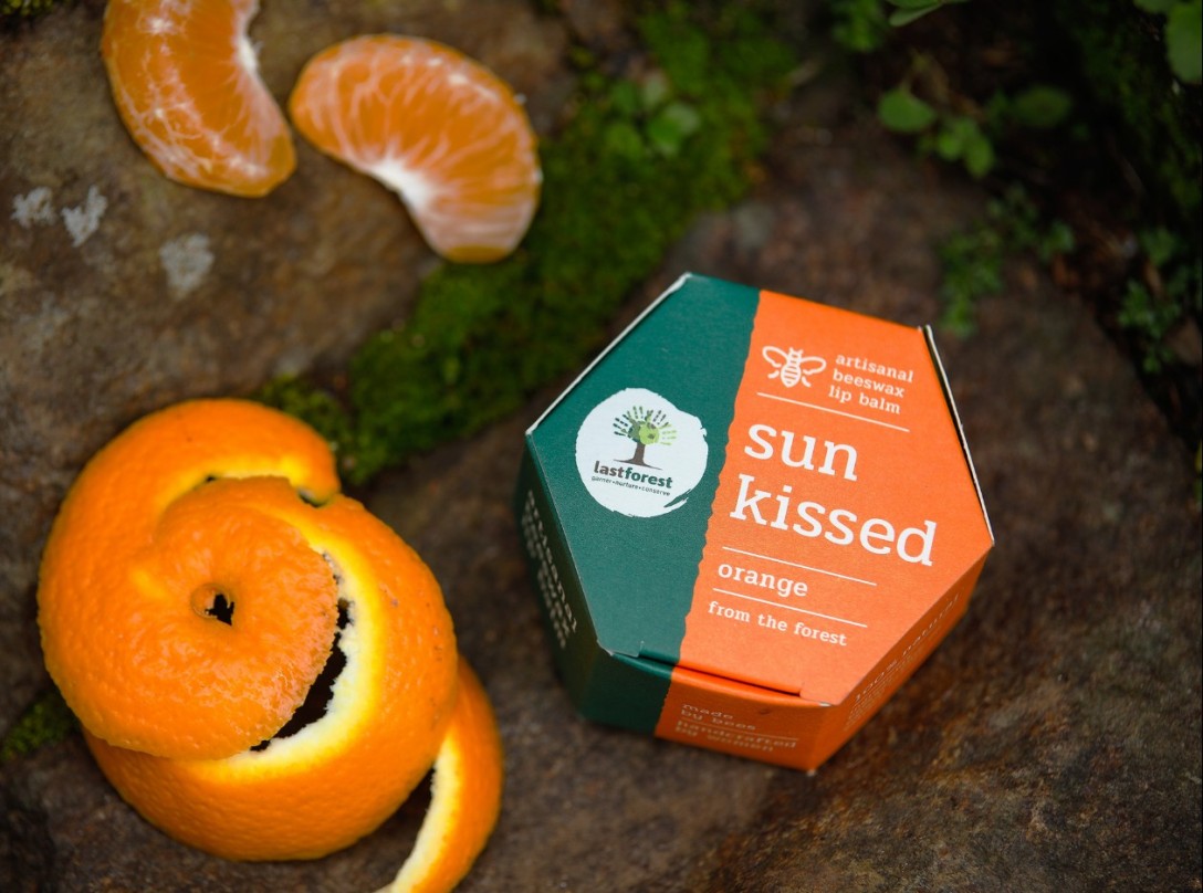 ?Last Forest 手工蜂蠟潤唇膏的包裝設(shè)計(圖9)