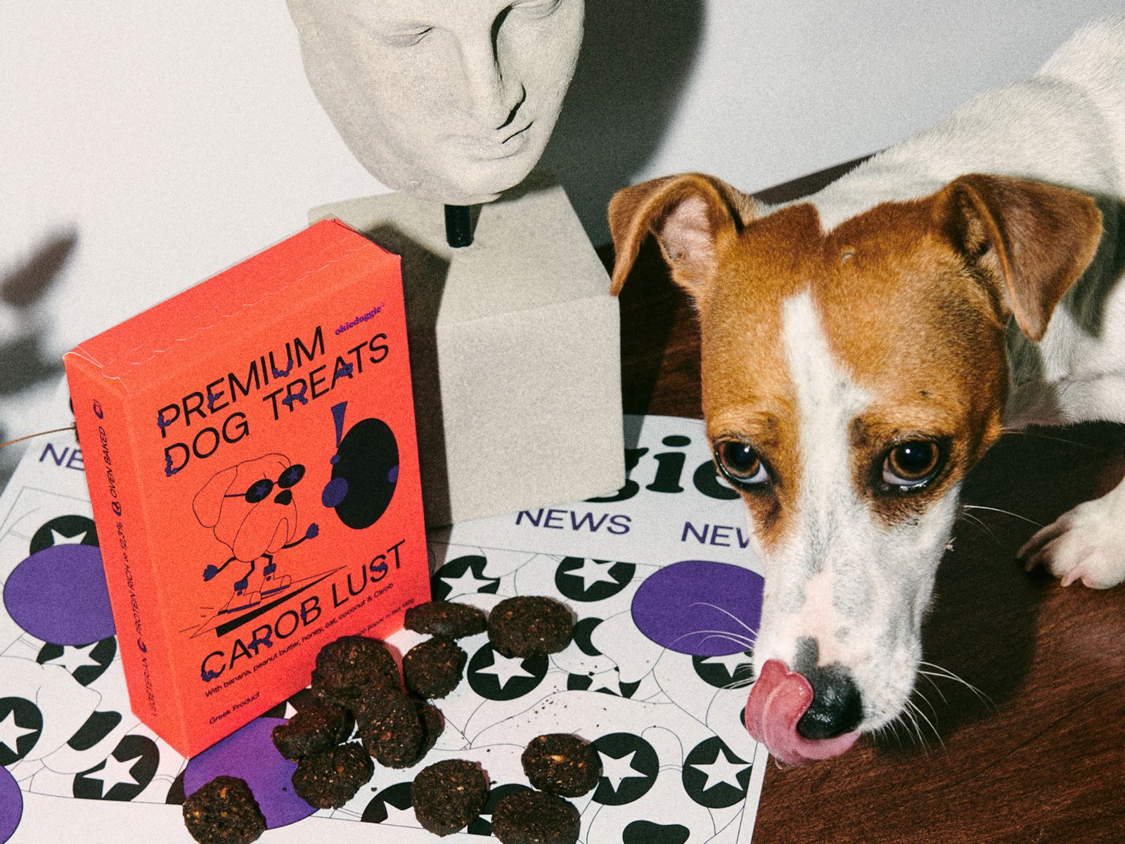 ?Okiedoggie狗零食包裝設(shè)計(jì)(圖4) ?Okiedoggie狗零食包裝設(shè)計(jì)(圖4)