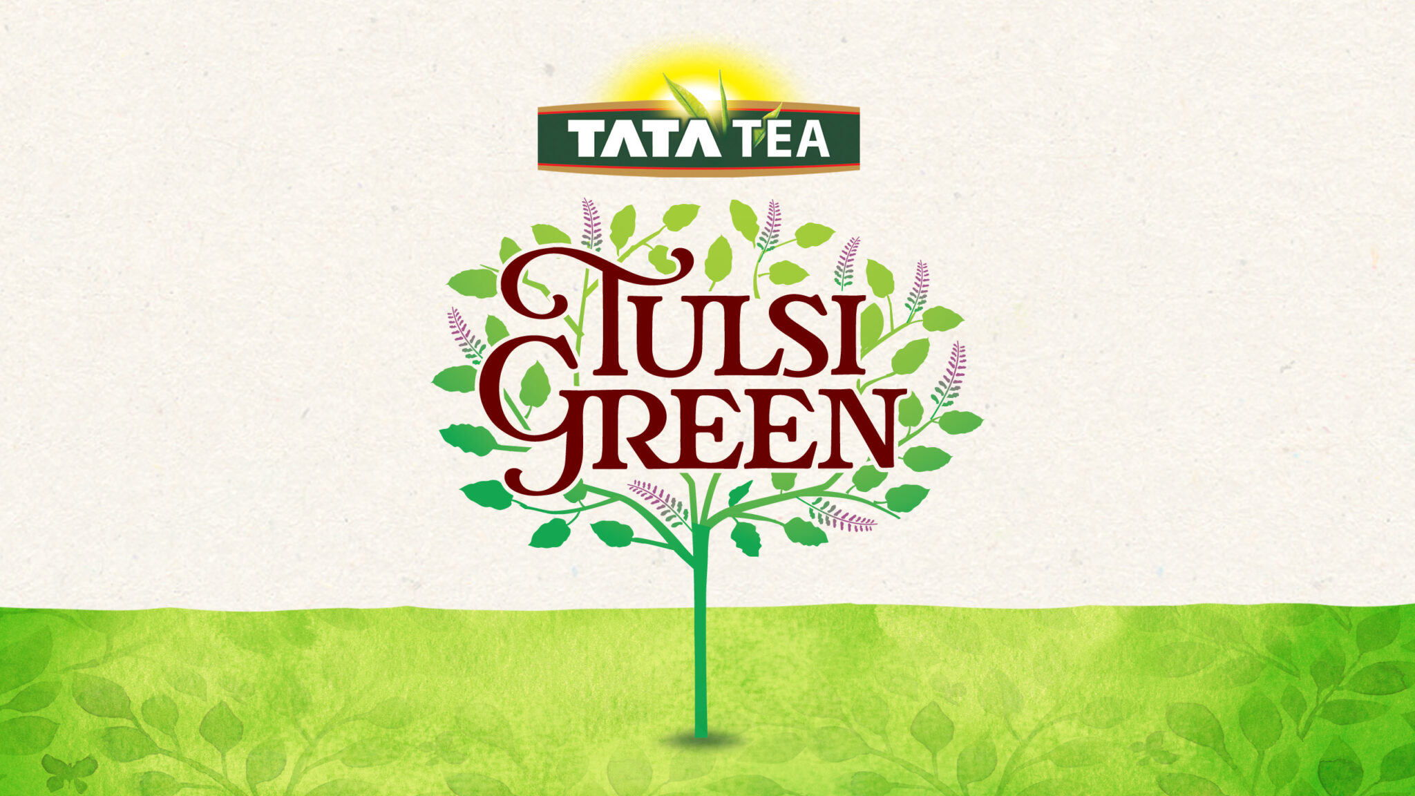 自然清新的茶葉包裝設(shè)計欣賞(圖3) 自然清新的茶葉包裝設(shè)計欣賞(圖3)