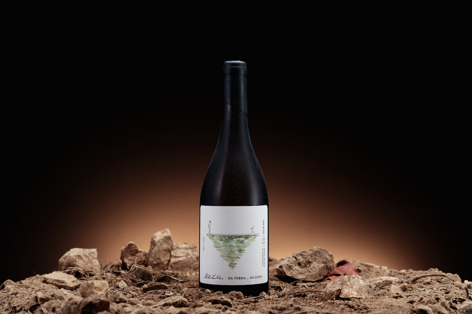 簡(jiǎn)約優(yōu)雅的葡萄酒包裝設(shè)計(jì)參考(圖3) 簡(jiǎn)約優(yōu)雅的葡萄酒包裝設(shè)計(jì)參考(圖3)