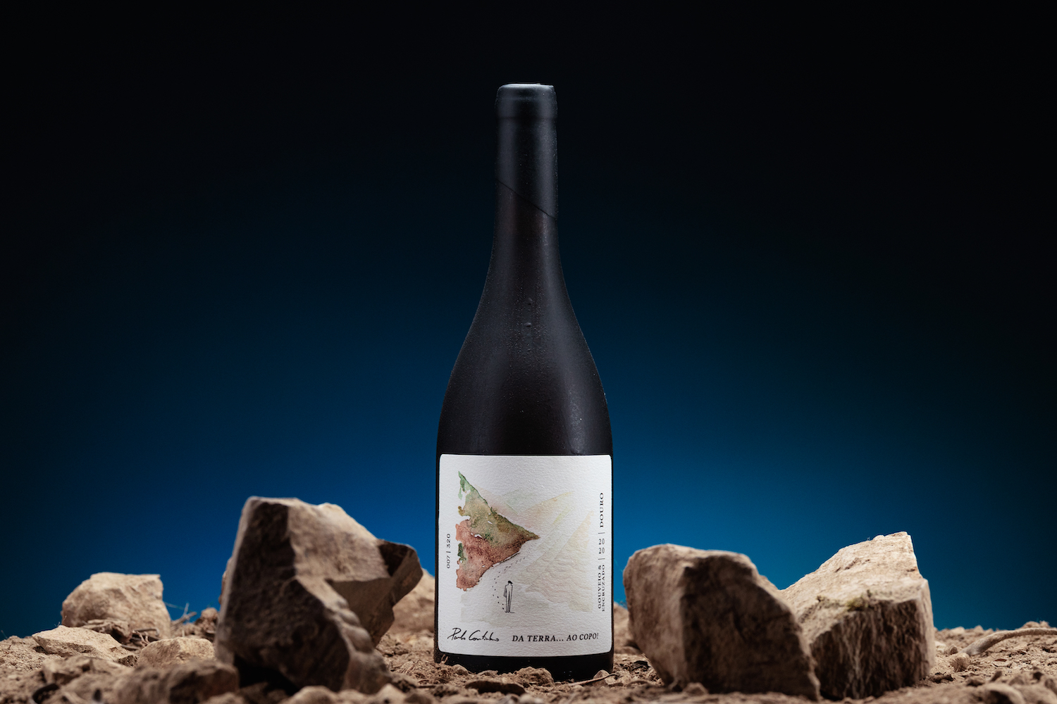 簡(jiǎn)約優(yōu)雅的葡萄酒包裝設(shè)計(jì)參考(圖4) 簡(jiǎn)約優(yōu)雅的葡萄酒包裝設(shè)計(jì)參考(圖4)