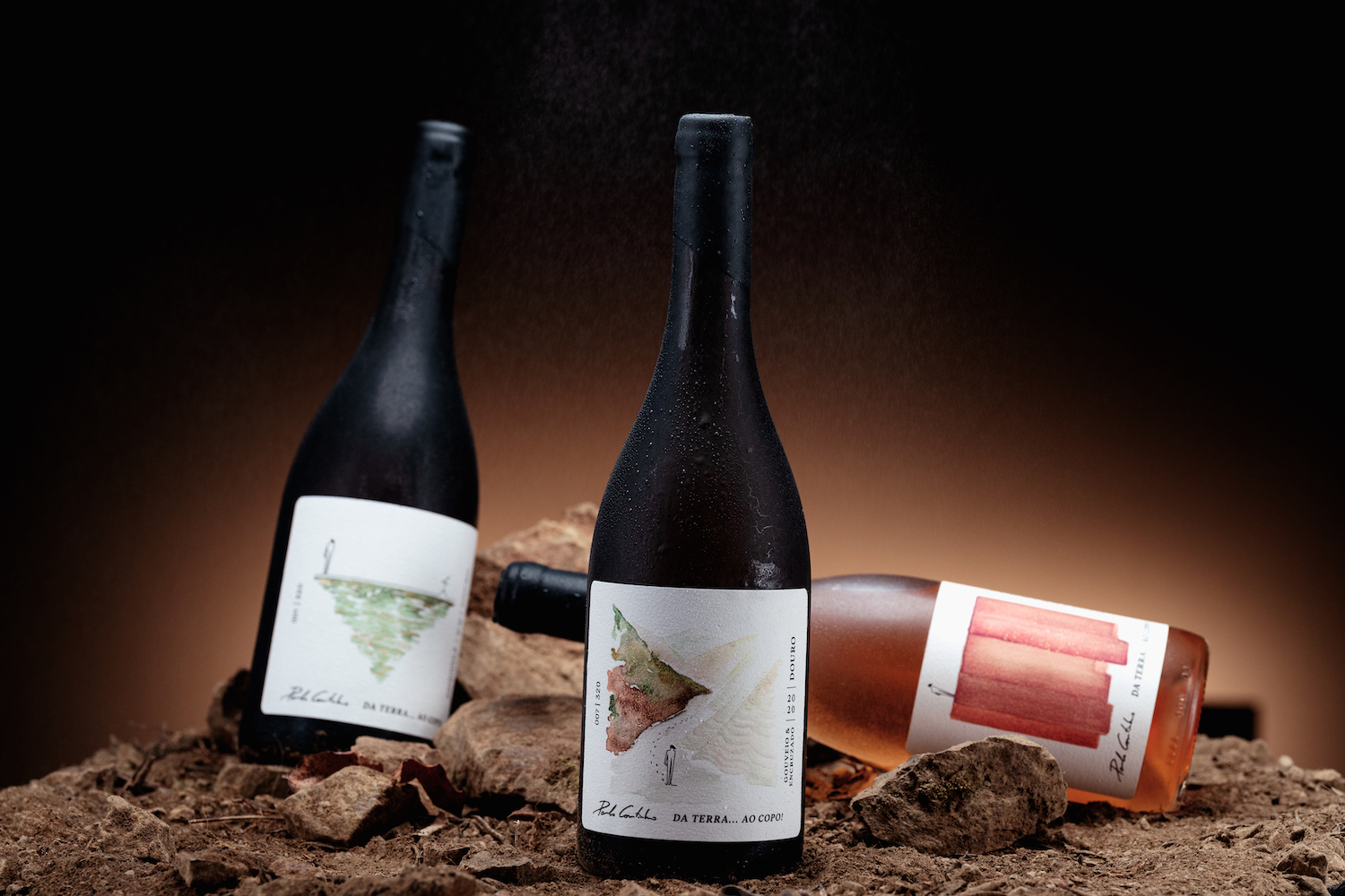 簡(jiǎn)約優(yōu)雅的葡萄酒包裝設(shè)計(jì)參考(圖5) 簡(jiǎn)約優(yōu)雅的葡萄酒包裝設(shè)計(jì)參考(圖5)