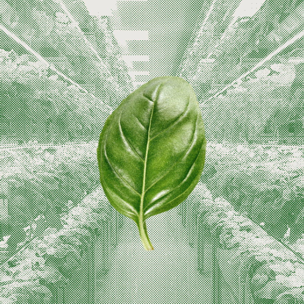 BAZ & CO 護(hù)膚品采用無限可回收材料的包裝設(shè)計(jì)(圖2) BAZ & CO 護(hù)膚品采用無限可回收材料的包裝設(shè)計(jì)(圖2)