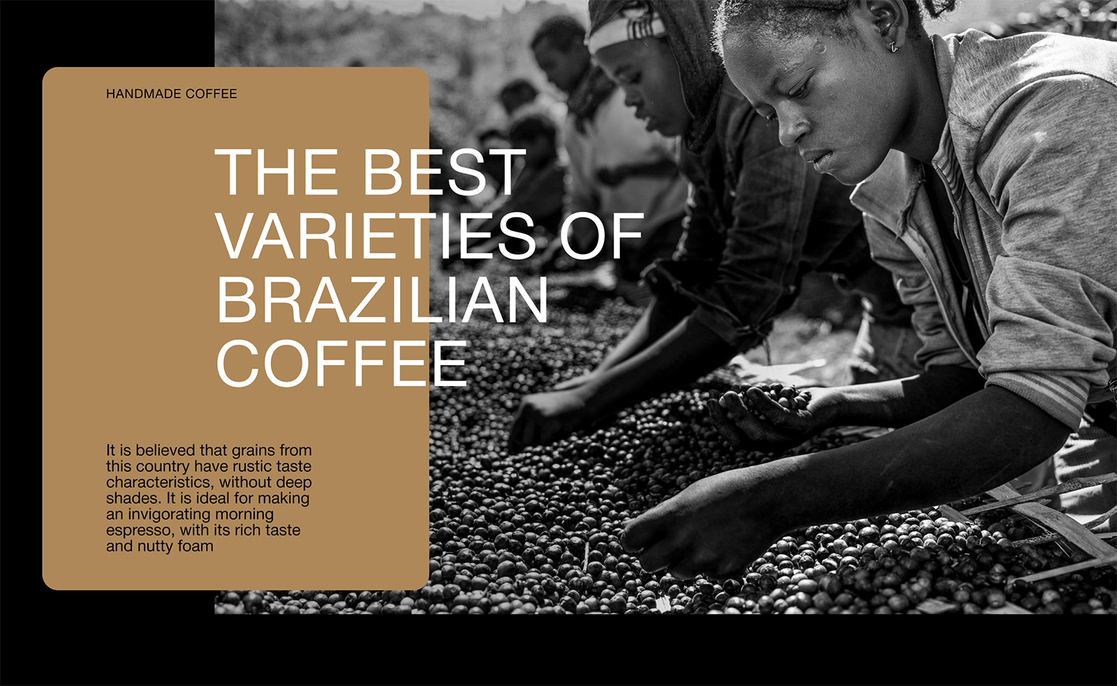 Tosside咖啡包裝設(shè)計(jì)作品參考(圖3) Tosside咖啡包裝設(shè)計(jì)作品參考(圖3)