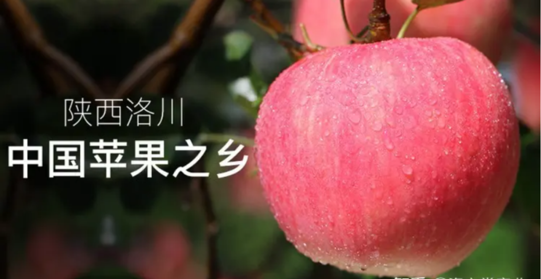 四喜：揭開品牌賣貨的核心秘密(圖16)