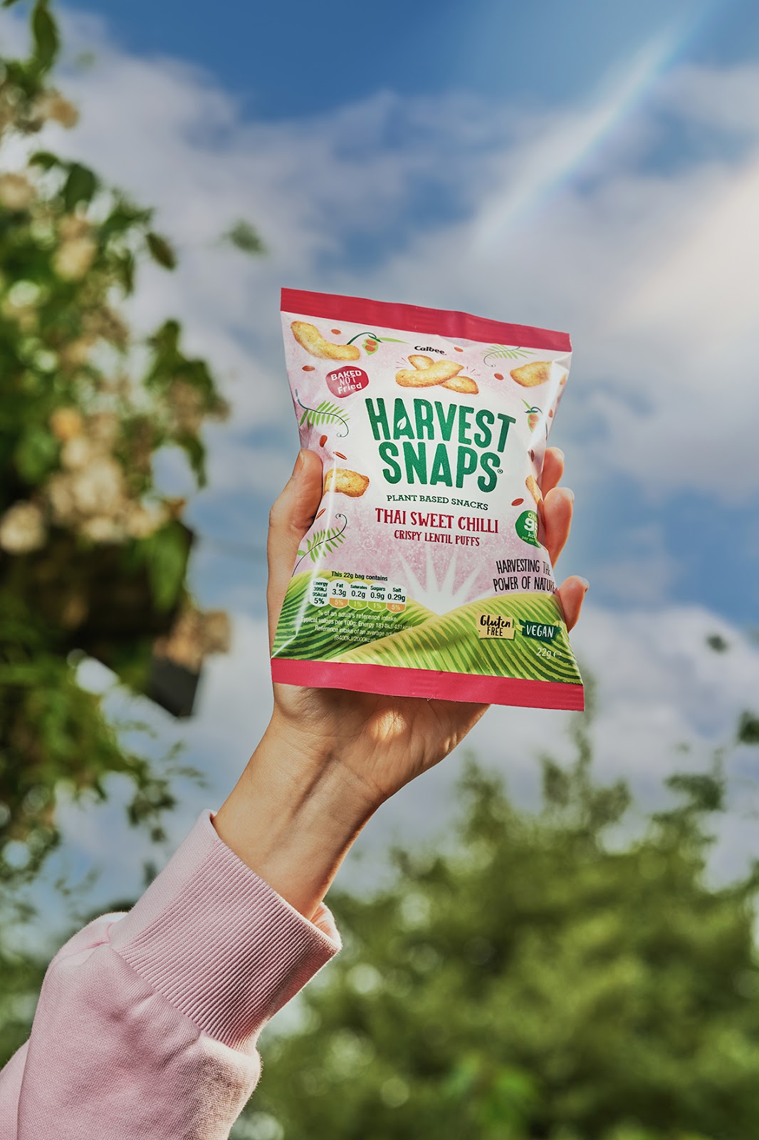 美味休閑零食包裝設(shè)計(jì)作品欣賞(圖5) 美味休閑零食包裝設(shè)計(jì)作品欣賞(圖5)