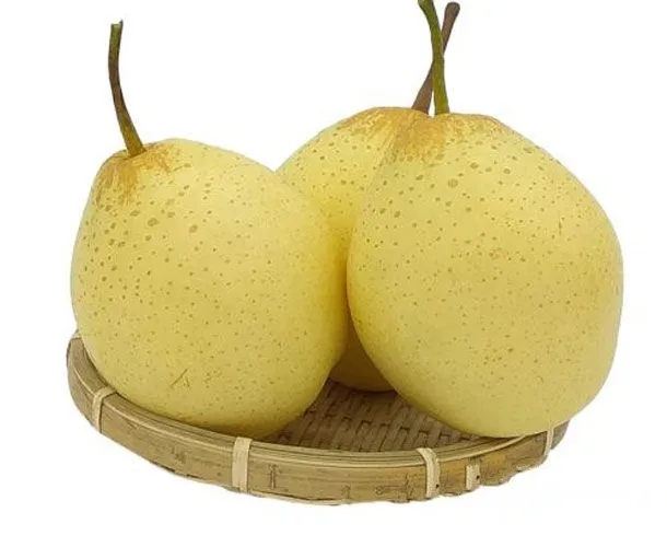 天津特產(chǎn)鴨梨包裝怎么設計好賣貨(圖1)