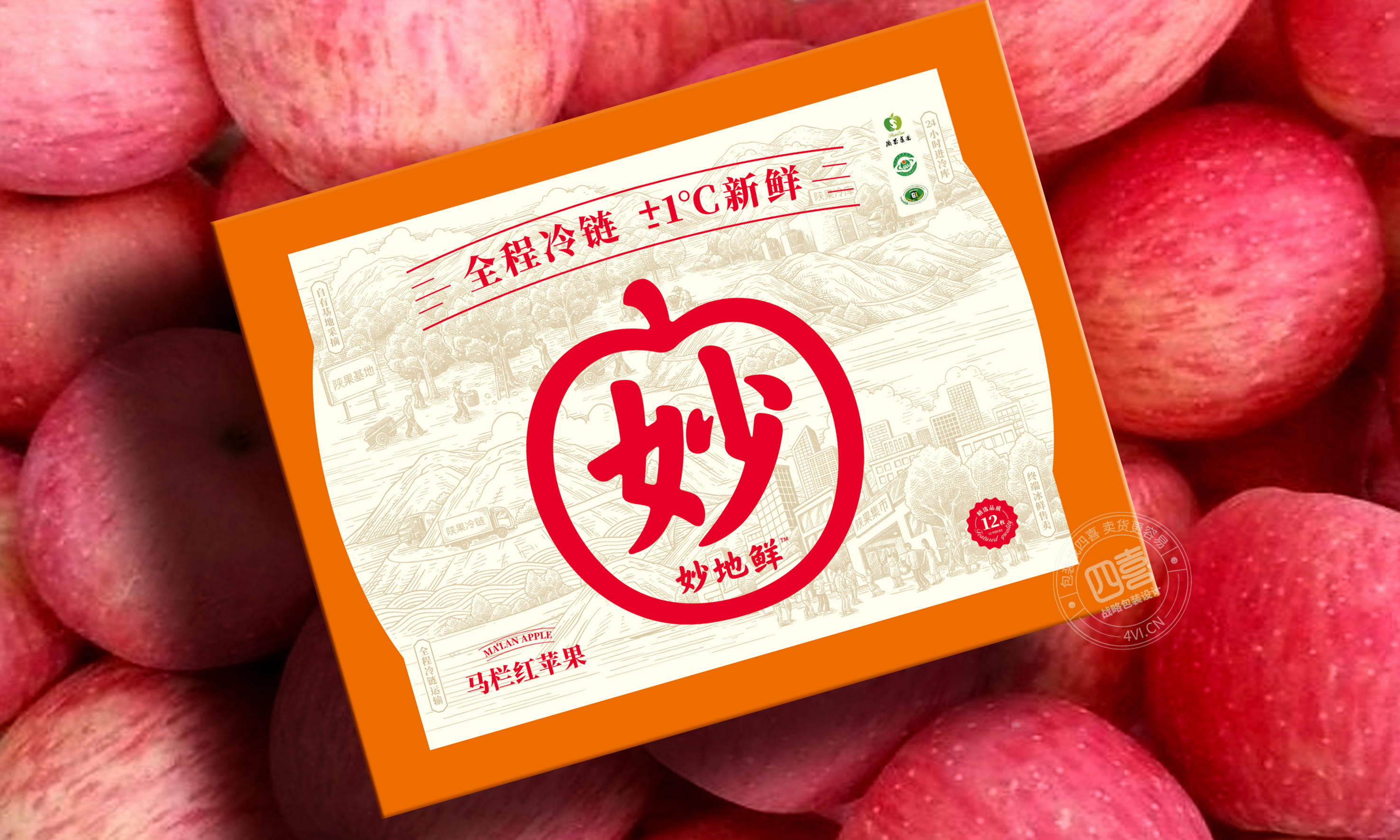 三亞水果特產(chǎn)芒果包裝設(shè)計(jì)(圖3) 三亞水果特產(chǎn)芒果包裝設(shè)計(jì)(圖3)