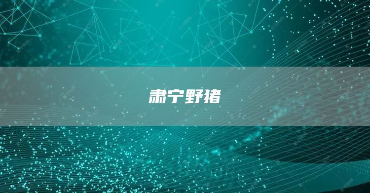 肅寧野豬(圖1) 肅寧野豬(圖1)