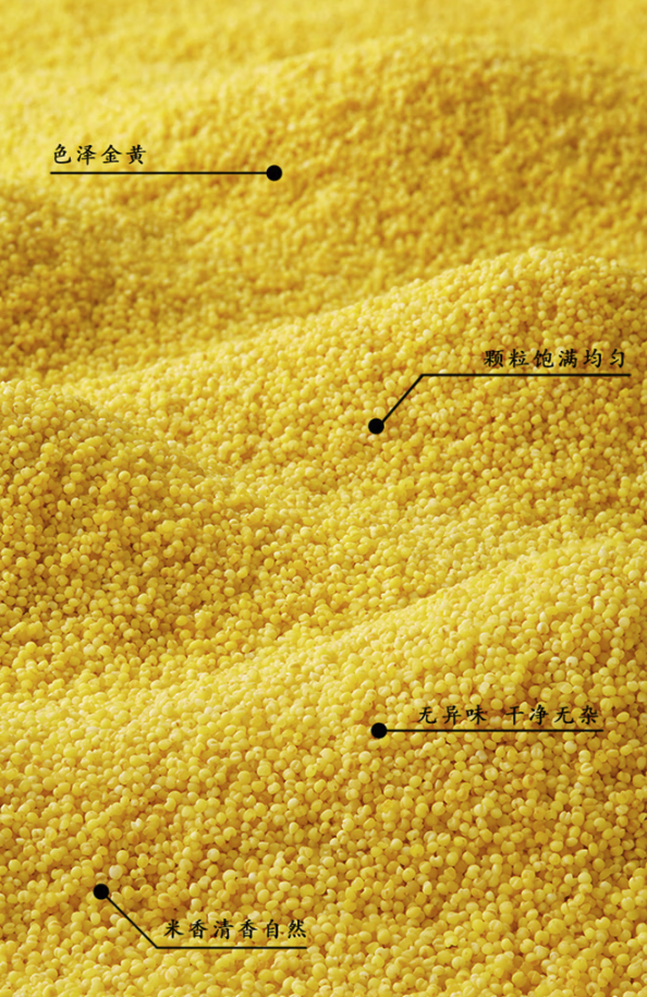 柴火大院 內(nèi)蒙古黃小米 1kg包裝設(shè)計欣賞 (圖2) 柴火大院 內(nèi)蒙古黃小米 1kg包裝設(shè)計欣賞 (圖2)
