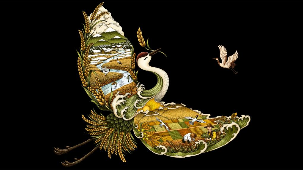 四喜如何通過包裝設(shè)計(jì)，讓金鶴黑珍珠大米彰顯高端定位(圖6)