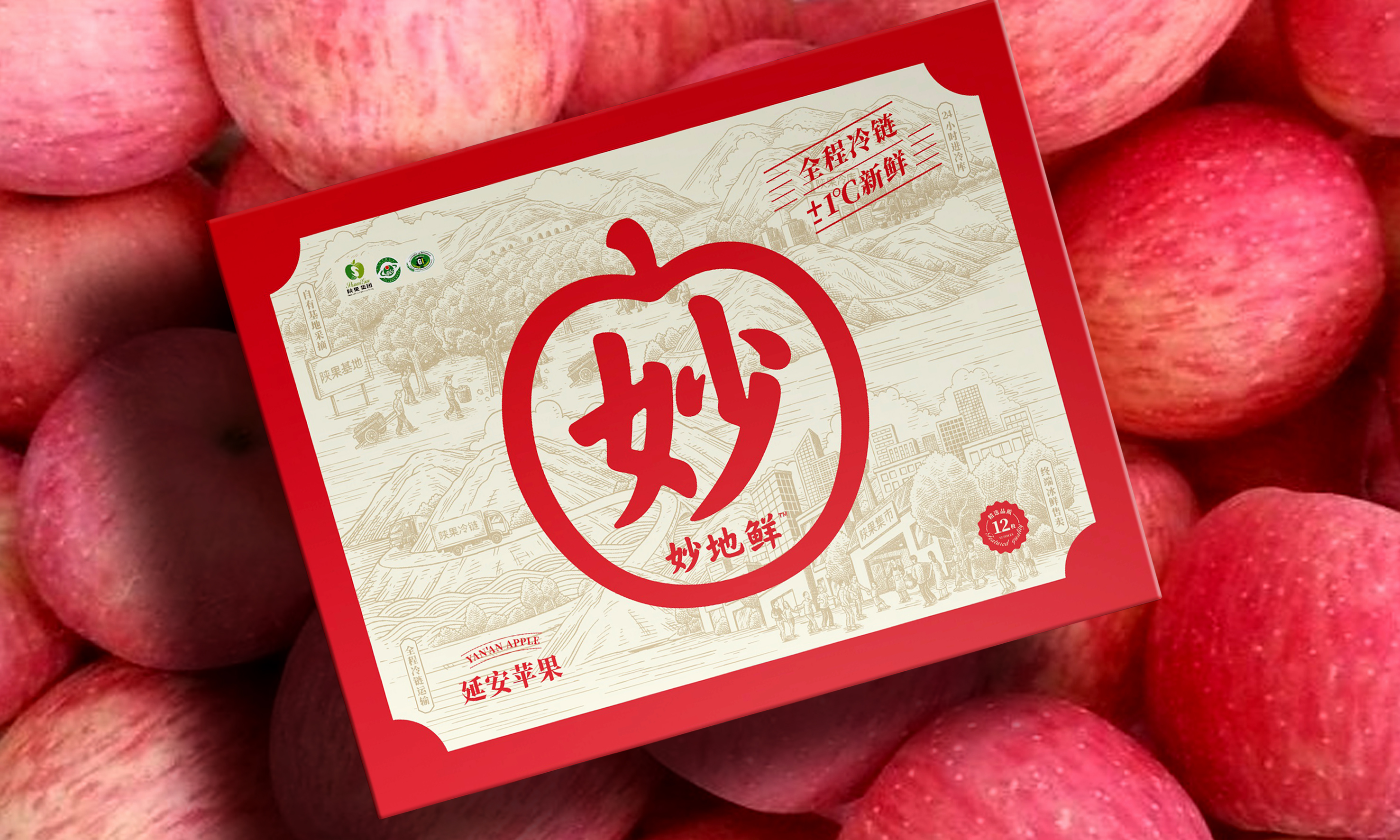 蘋果包裝盒設(shè)計作品欣賞(圖1) 蘋果包裝盒設(shè)計作品欣賞(圖1)